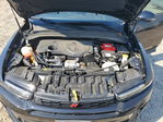 Dodge Hornet 2024