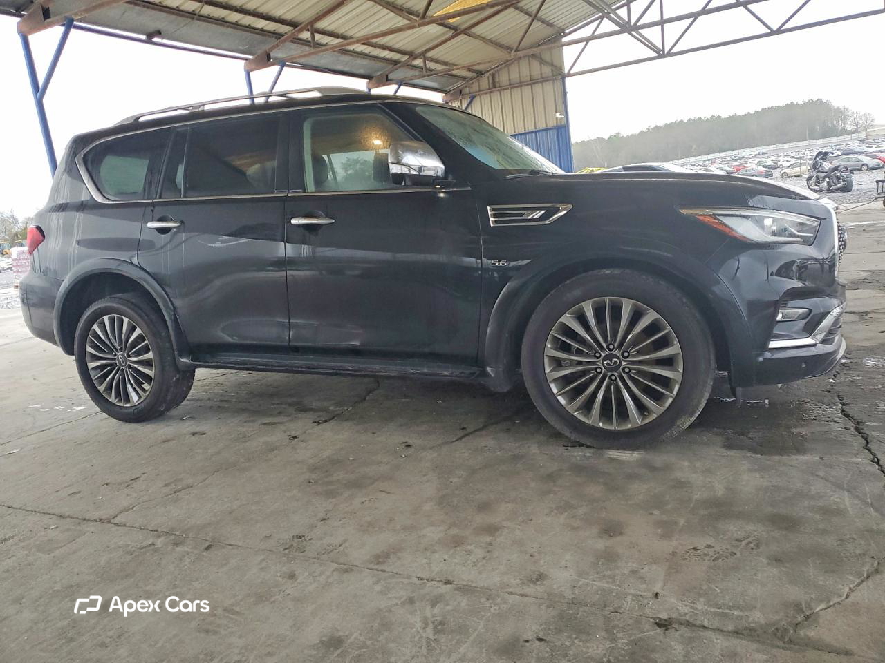 Infiniti QX80 2019