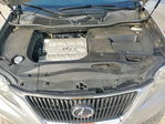 Lexus RX 2010