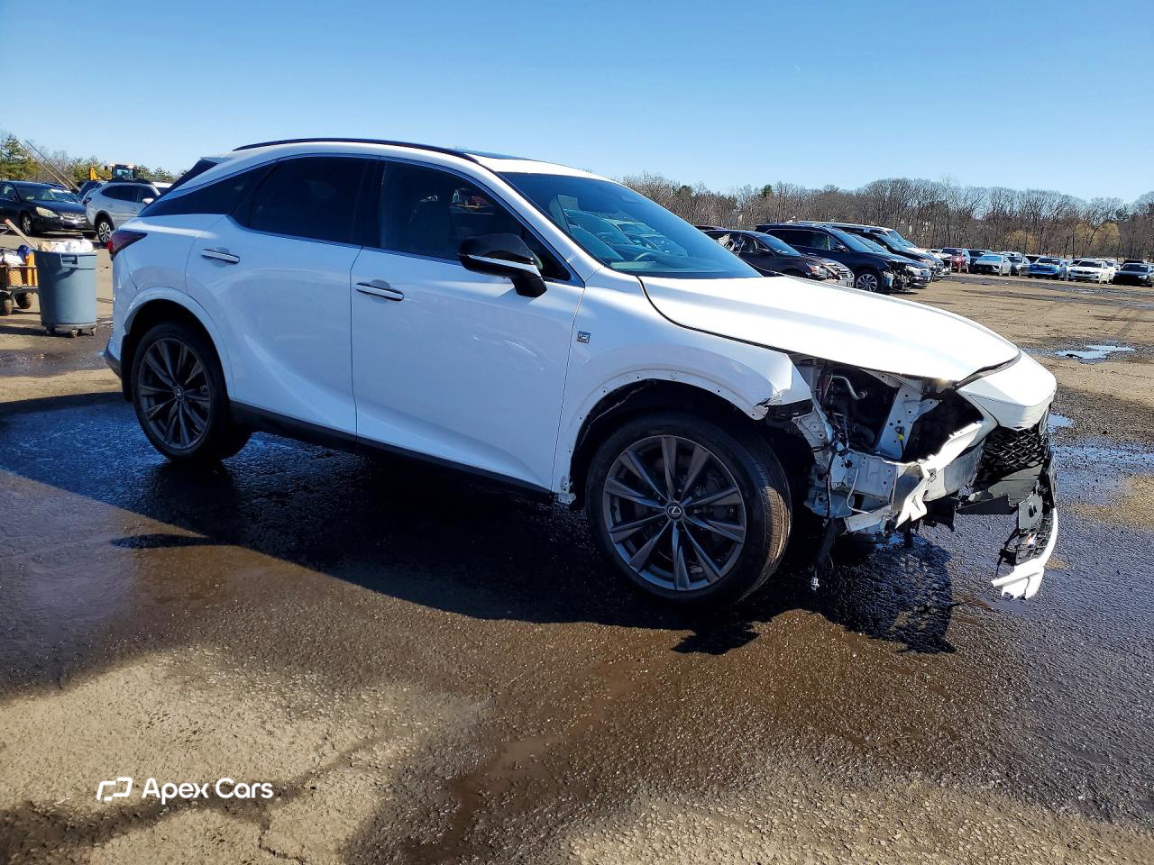 Lexus RX 2024