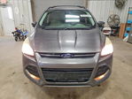 Ford Escape 2013