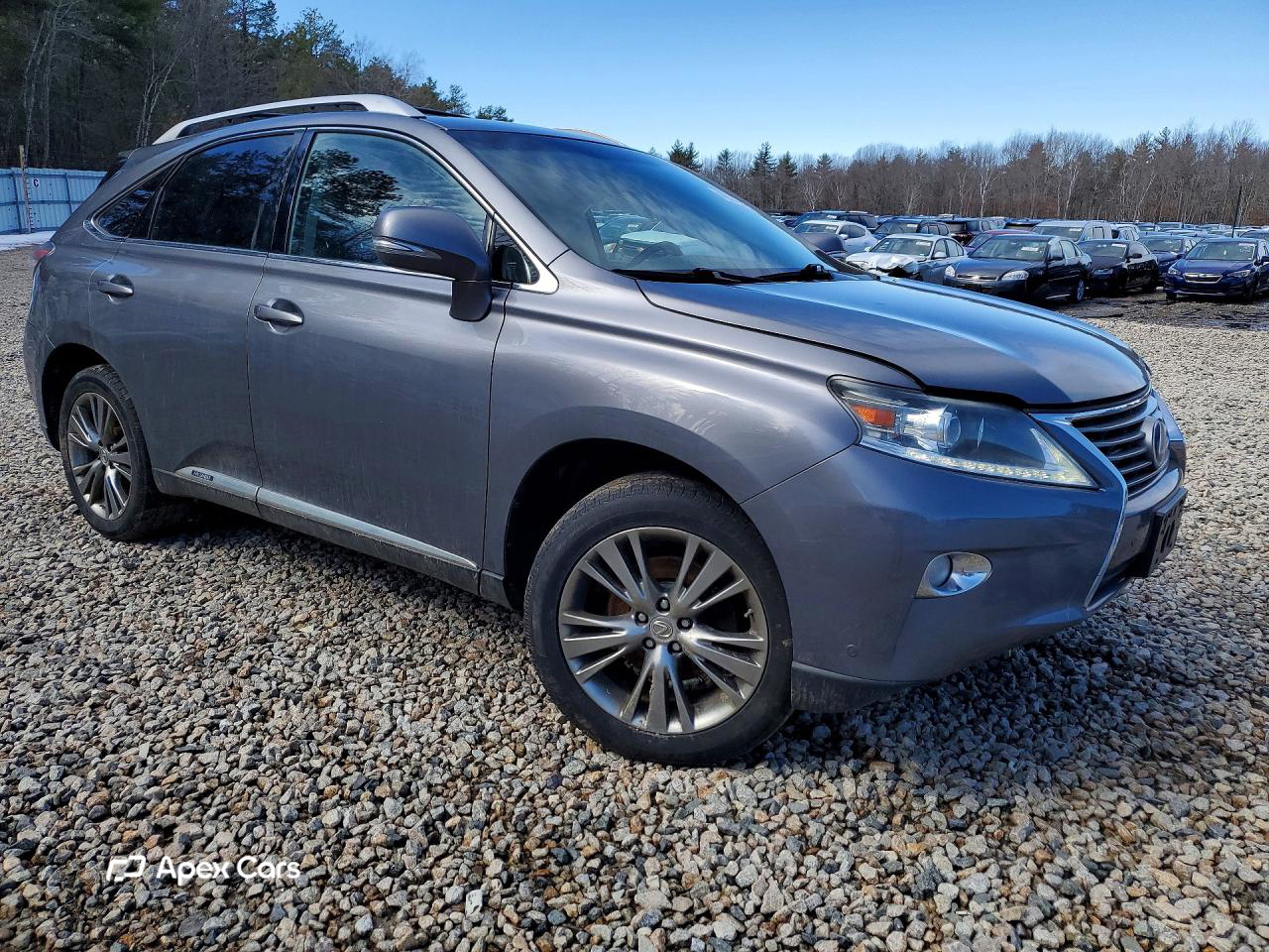 Lexus RX 2013
