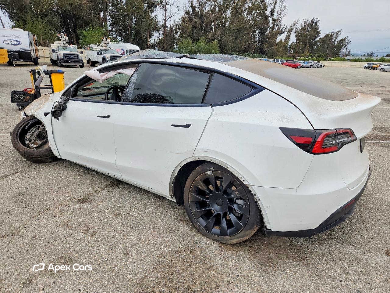 Tesla Model Y 2020