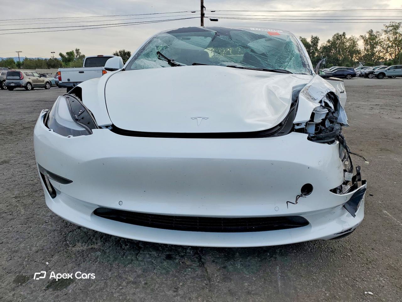 Tesla Model 3 2021
