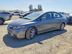 Honda Civic 2009