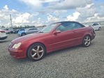 Mercedes-Benz  2005