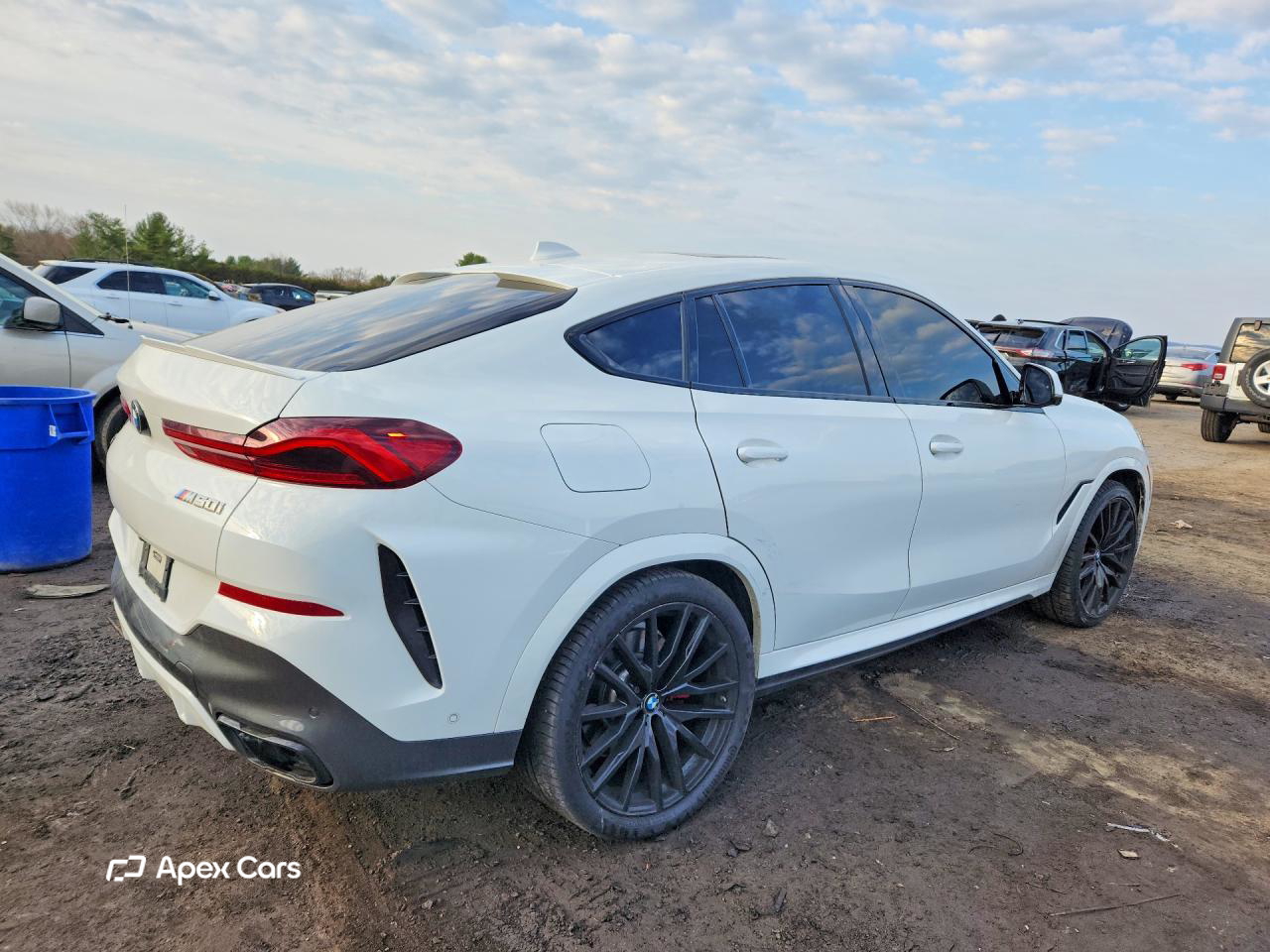 BMW X6 2021