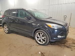 Ford Escape 2014