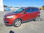 Ford Escape 2014