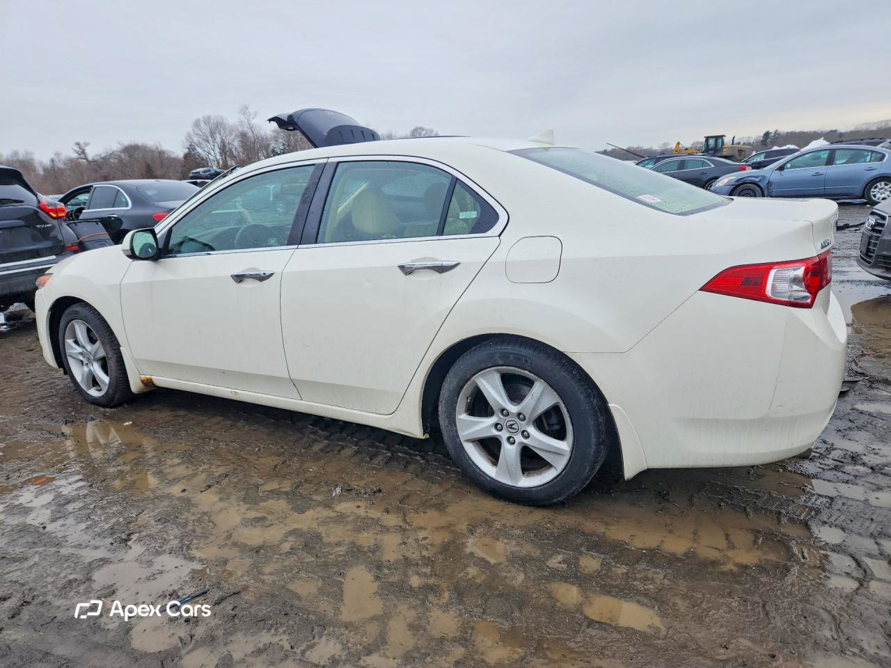 Acura TSX 2009