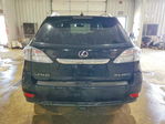Lexus RX 2010