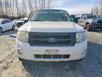 Ford Escape 2010