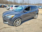 Ford Escape 2016