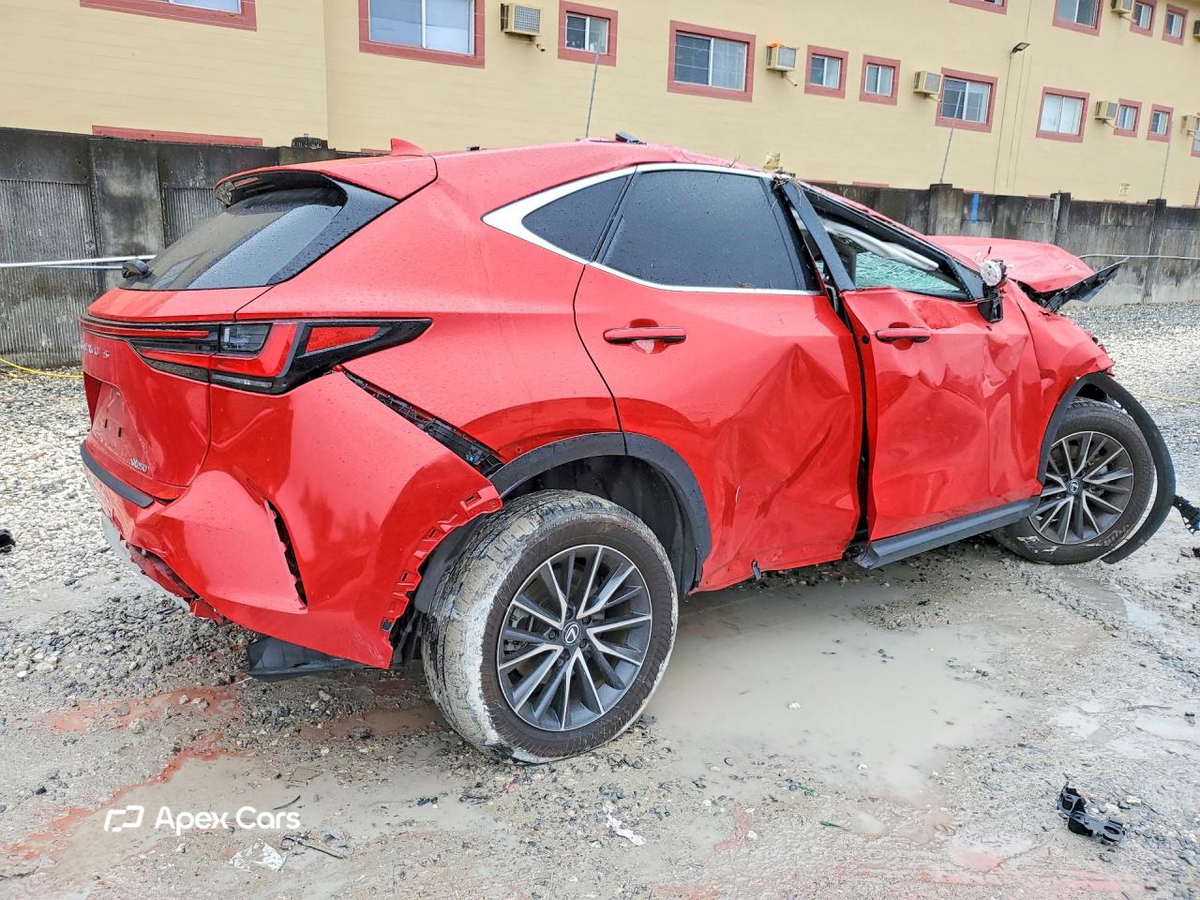 Lexus NX 2024