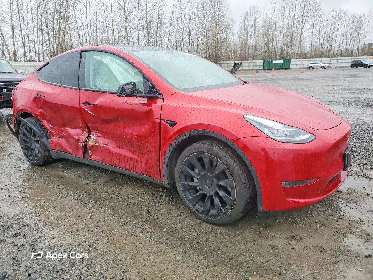 Tesla Model Y 2021