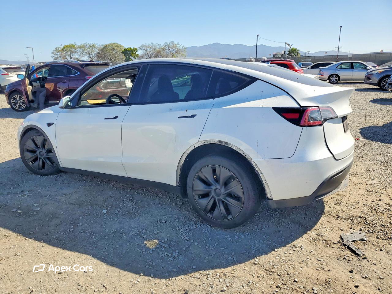 Tesla Model Y 2024