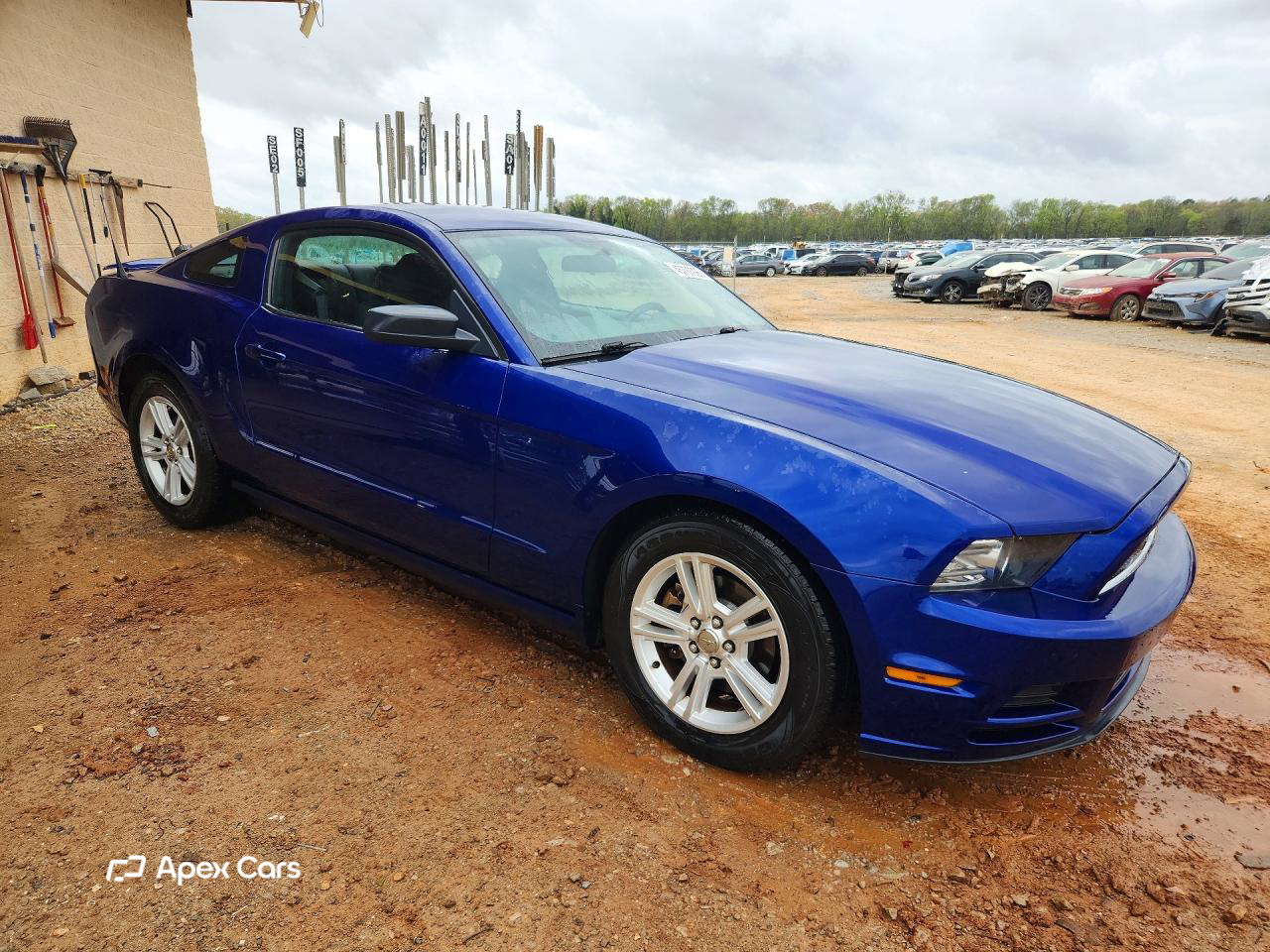 Ford Mustang 2013