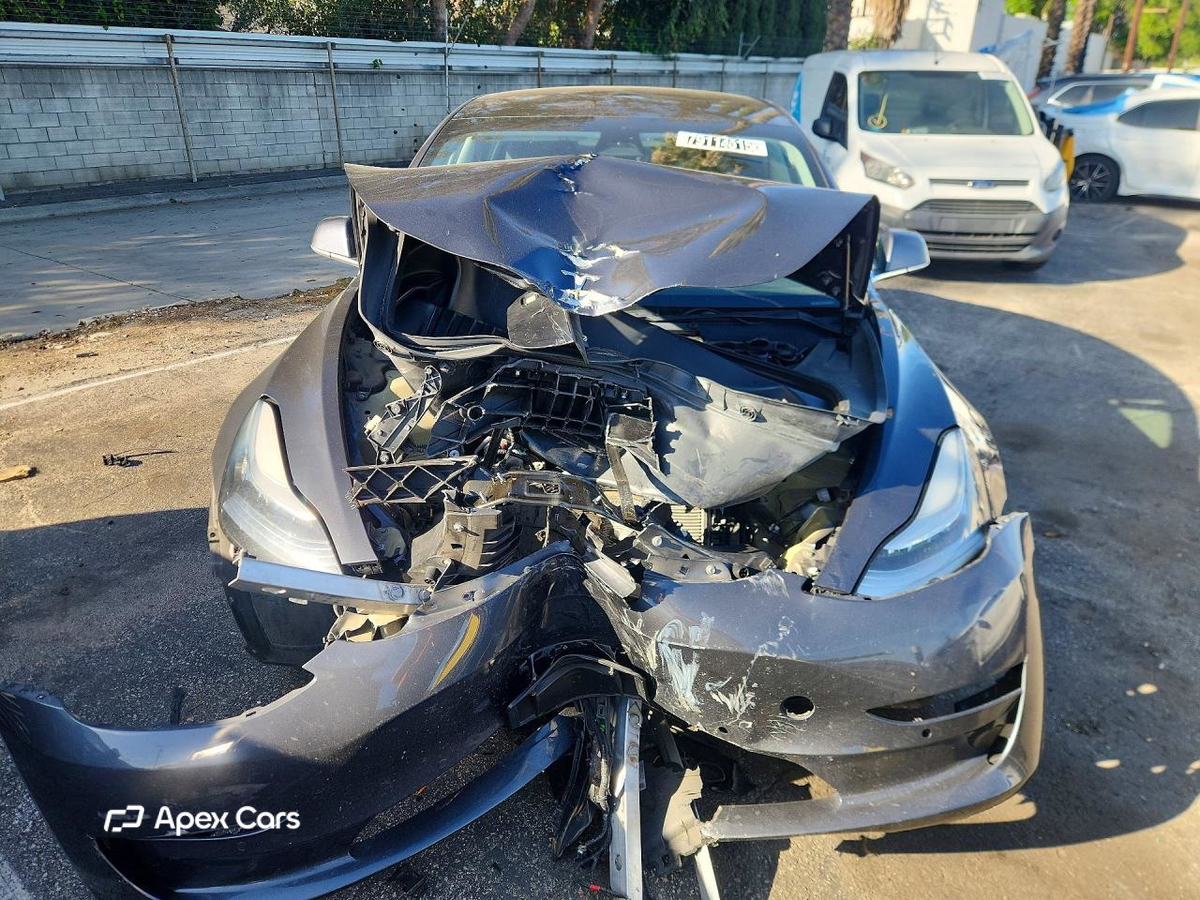 Tesla Model 3 2019