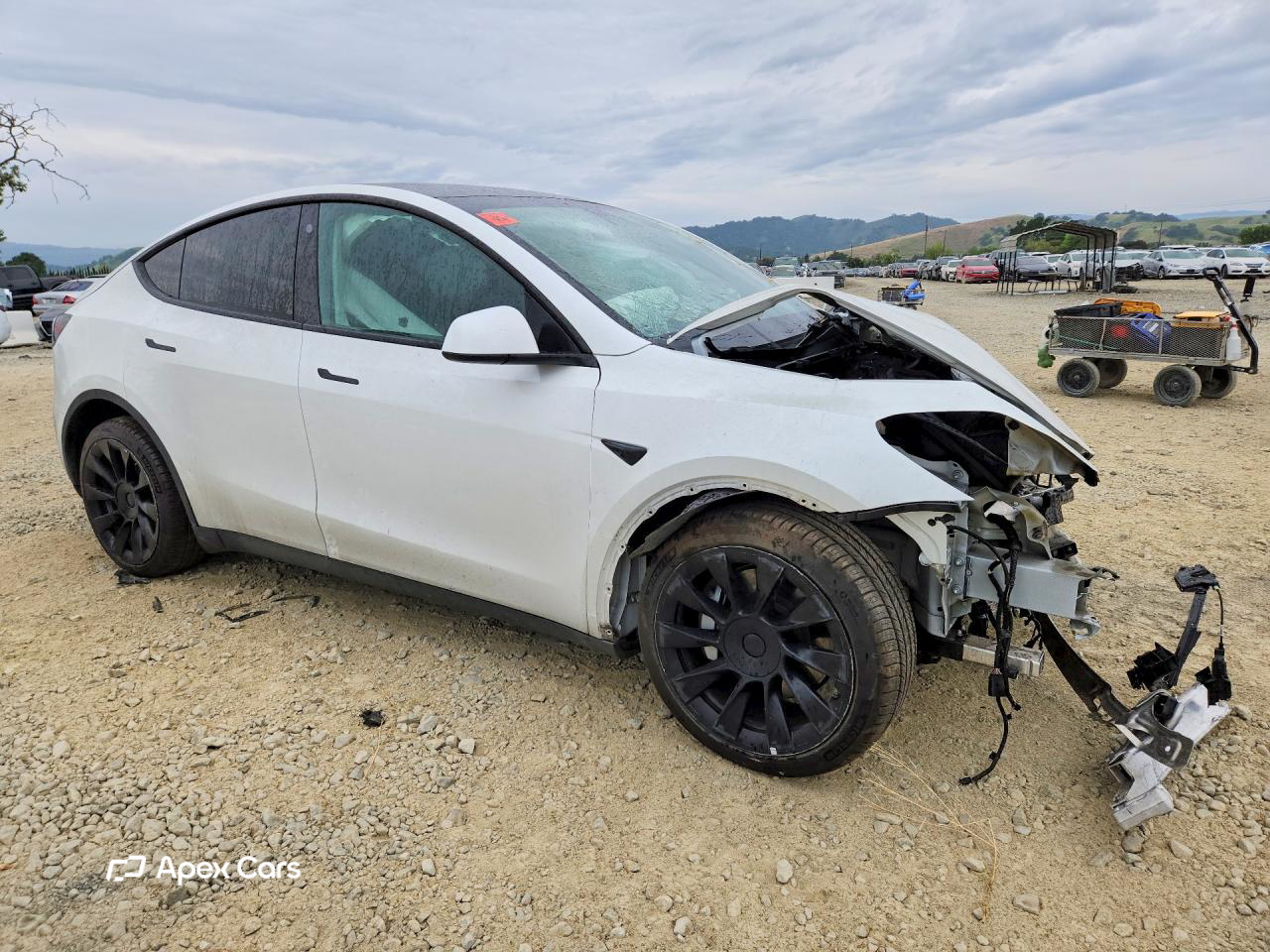 Tesla Model Y 2021