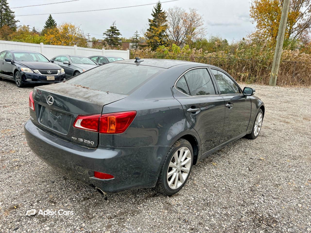 Lexus IS 2009