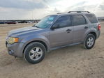 Ford Escape 2008
