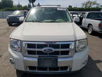 Ford Escape 2012