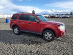 Ford Escape 2012