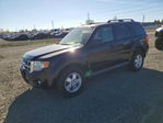 Ford Escape 2010
