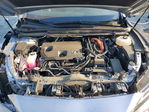 Lexus RX 2024
