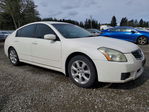 Nissan Maxima 2007