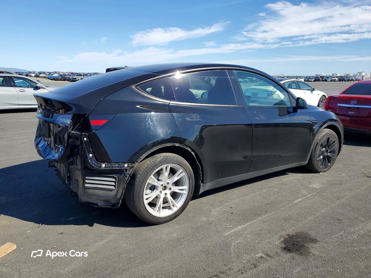 Tesla Model Y 2021