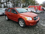 Dodge Caliber 2010