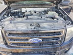 Ford Expedition 2010