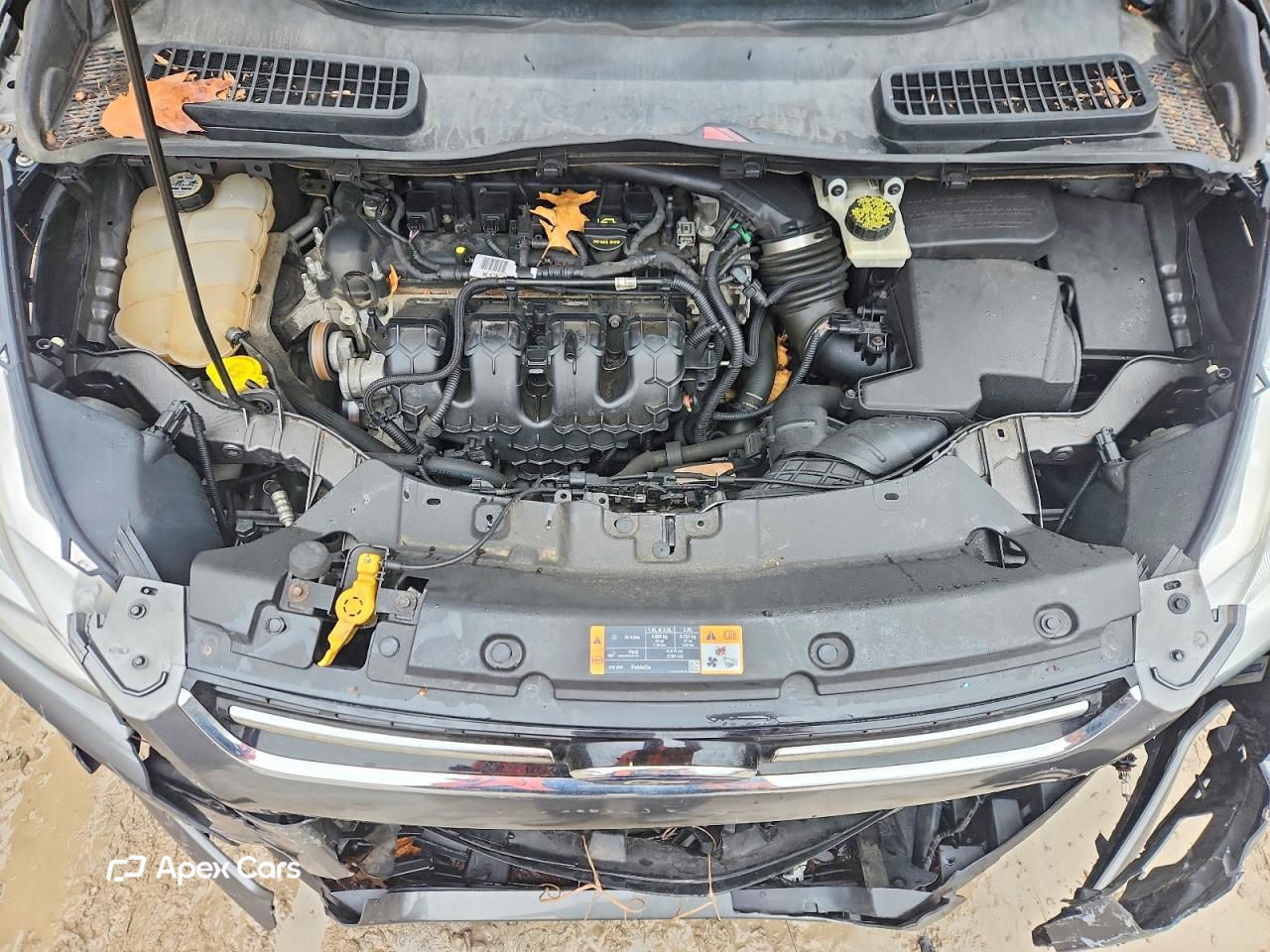Ford Escape 2013