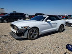Ford Mustang 2016