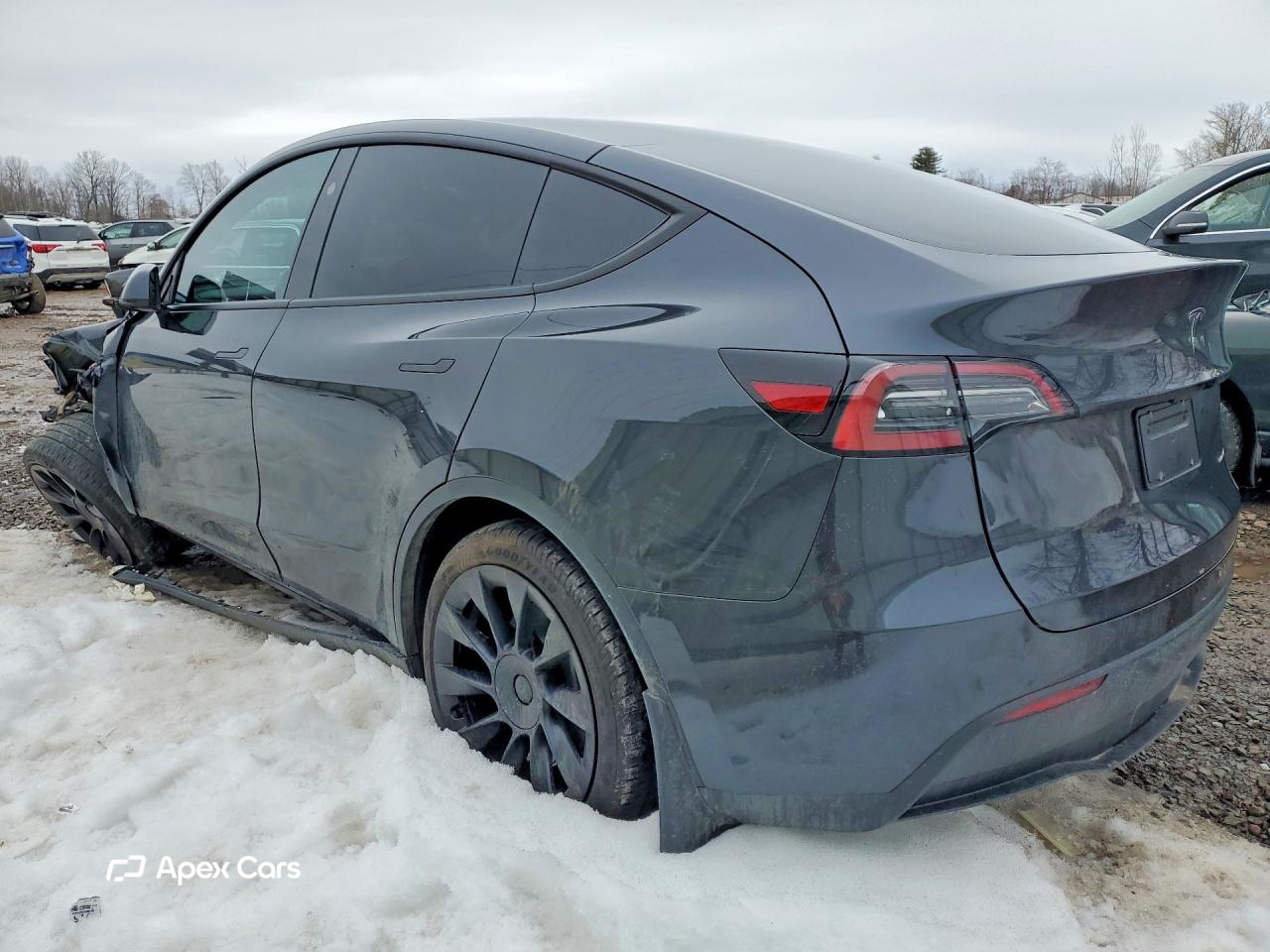 Tesla Model Y 2025