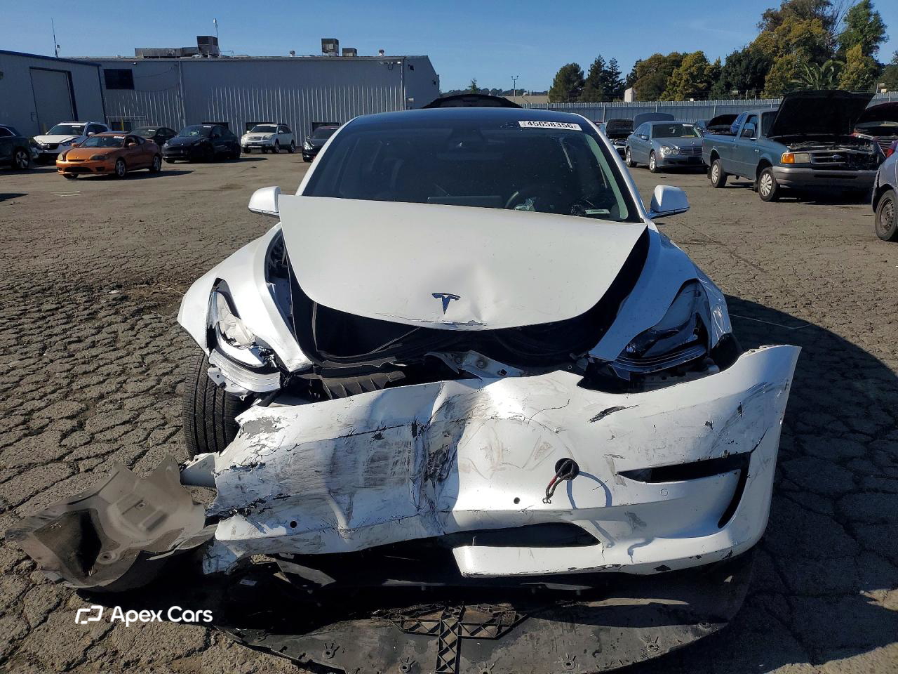 Tesla Model 3 2019