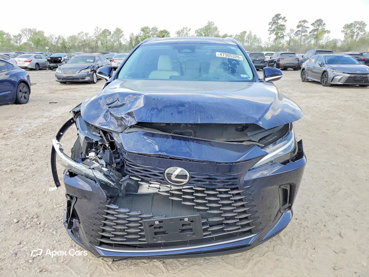 Lexus RX 2024