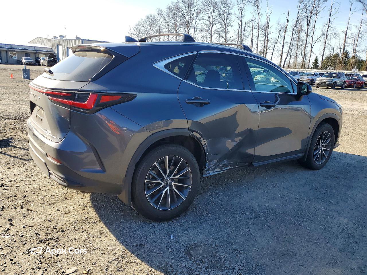 Lexus NX 2024