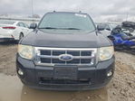 Ford Escape 2011
