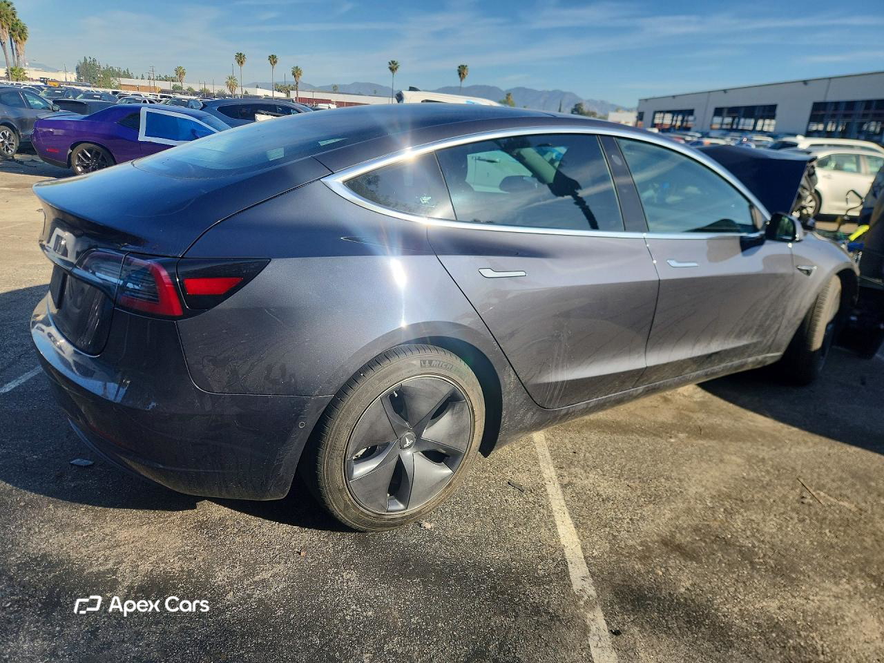 Tesla Model 3 2019