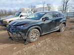 Lexus NX 2021