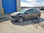 Honda Civic 2013