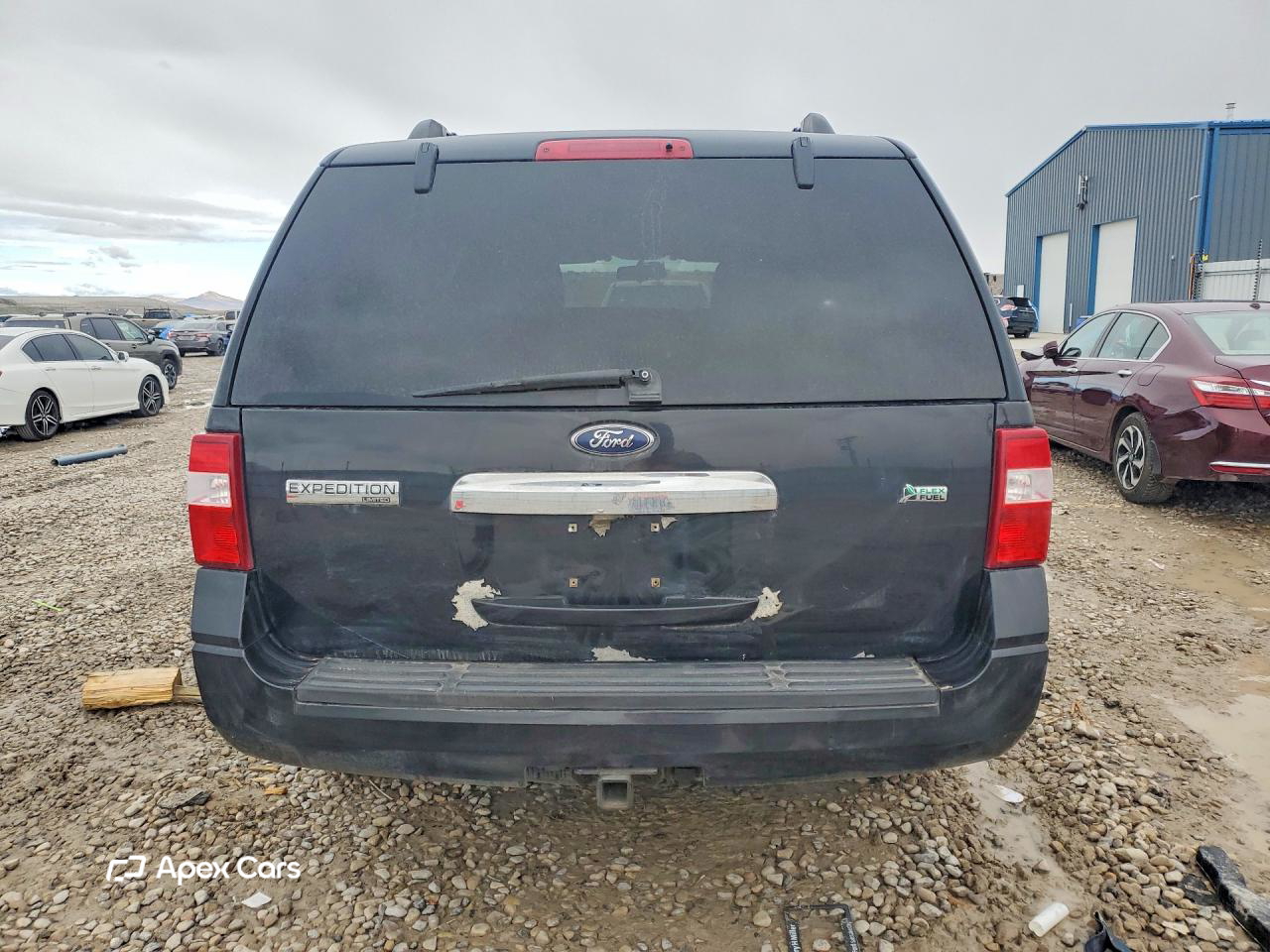 Ford Expedition 2010