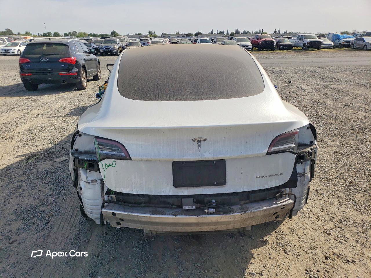 Tesla Model 3 2019