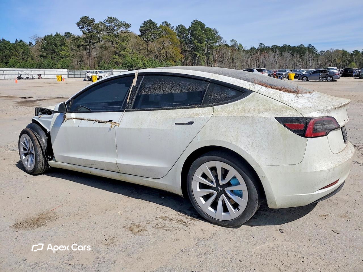Tesla Model 3 2021