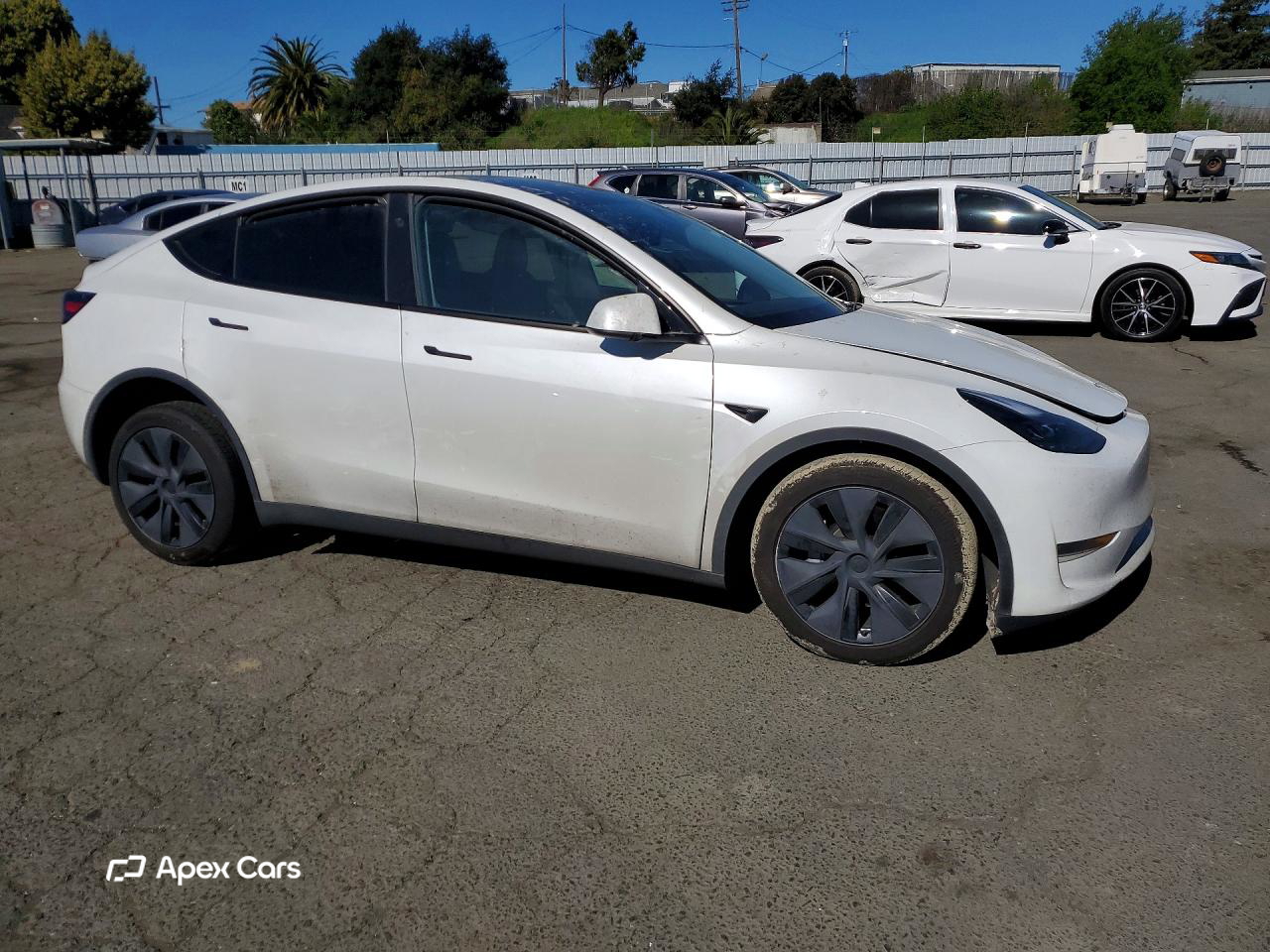 Tesla Model Y 2025