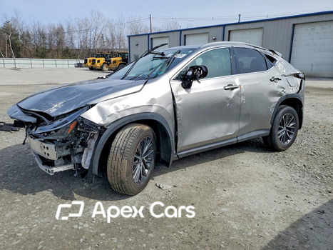 Lexus NX 2024 - Image 1 of 13