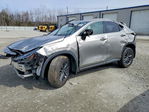 Lexus NX 2024