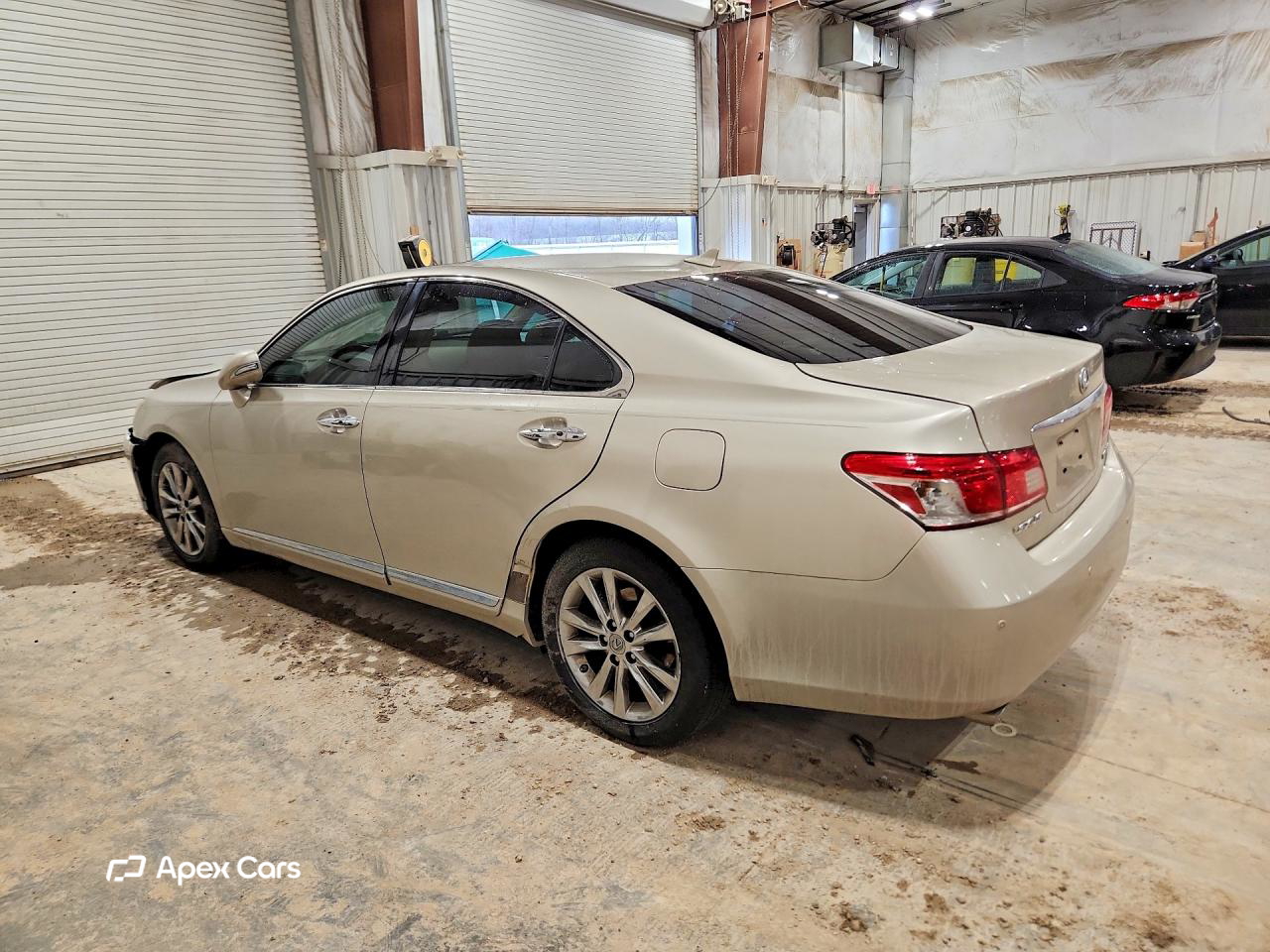 Lexus ES 2010